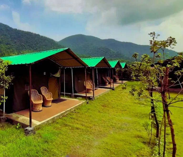 Camp Majestic Rishikesh