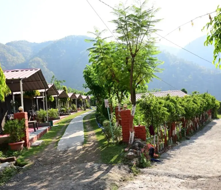 Wondrous Camp Rishikesh